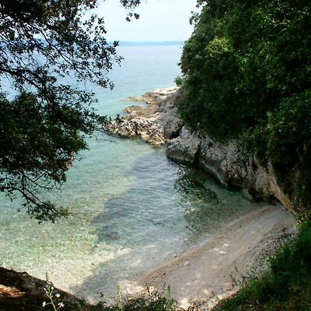 Apartments By The Sea Duga Luka - Prtlog, Labin - 2367 Drenje  エクステリア 写真