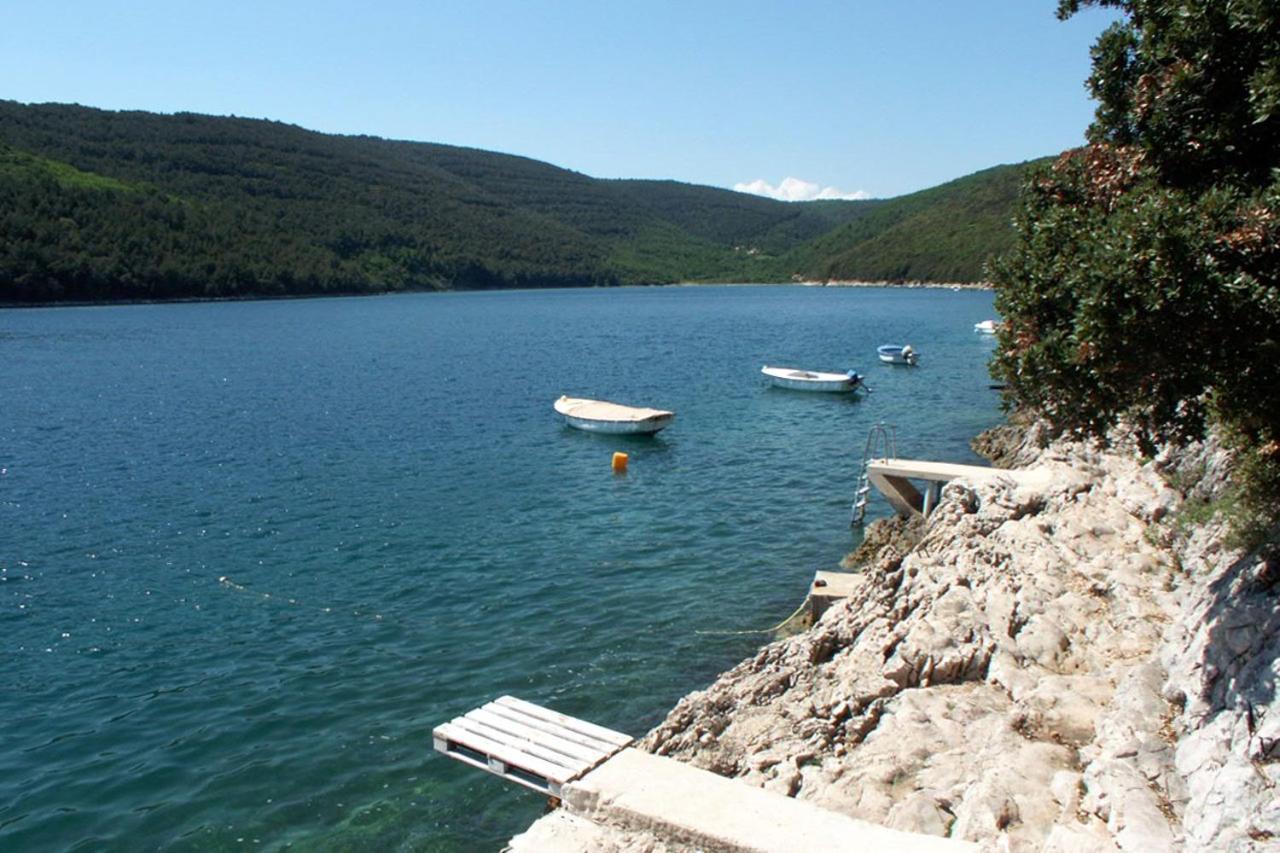 Apartments By The Sea Duga Luka - Prtlog, Labin - 2367 Drenje  エクステリア 写真