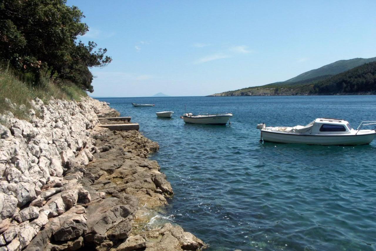Apartments By The Sea Duga Luka - Prtlog, Labin - 2367 Drenje  エクステリア 写真