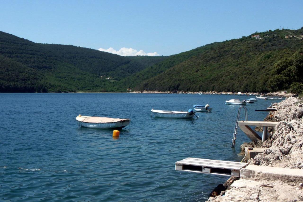 Apartments By The Sea Duga Luka - Prtlog, Labin - 2367 Drenje  エクステリア 写真